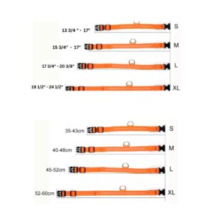 collar sizes